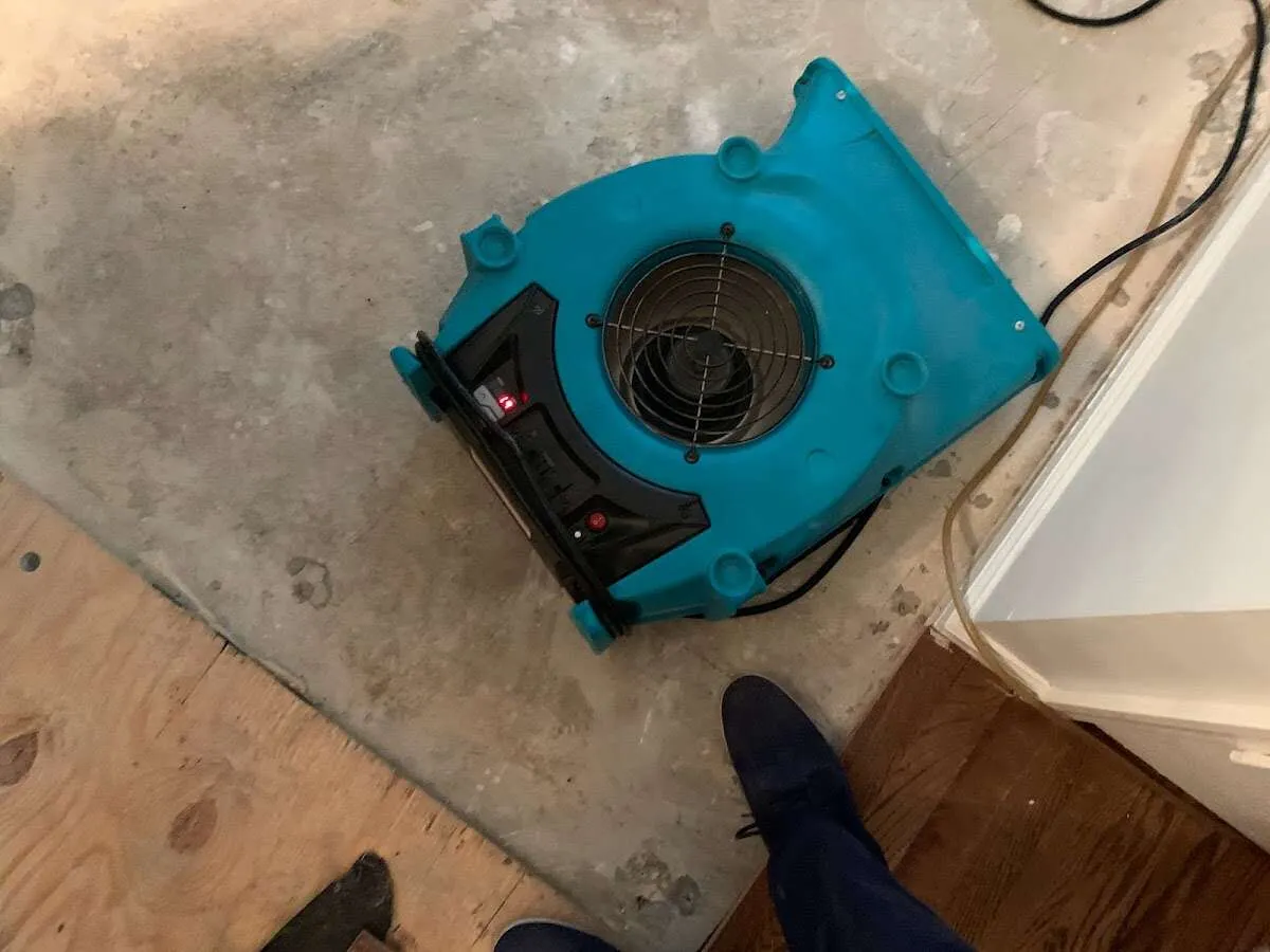 Air mover drying subfloor during Leak Detection & Repair in Northdale